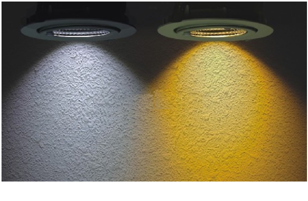 LHHY-THPK-12W-C LED Spotlight Lamp LED Ceiling Light 12w 3000 - 6500K